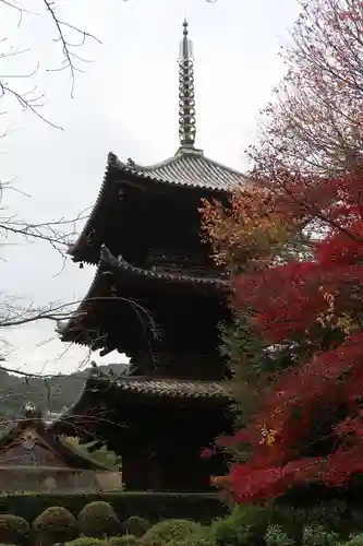 園城寺（三井寺）(滋賀県)