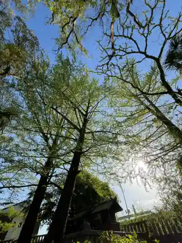 若宮神明社(愛知県)