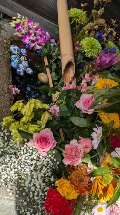 勝林寺(京都府)