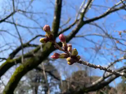山の神神社(神奈川県)
