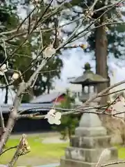 守りの神　藤基神社の庭園