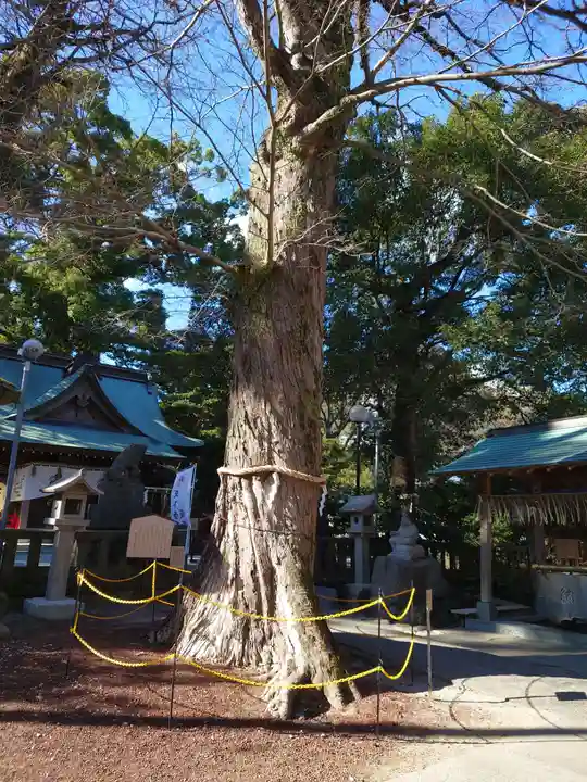 今宮神社の自然