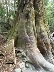 伊勢神宮内宮（皇大神宮）(三重県)