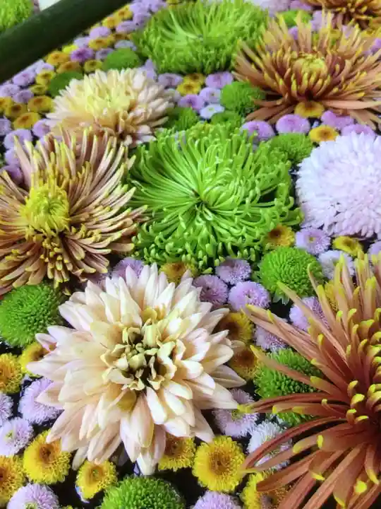 高円寺氷川神社(東京都)