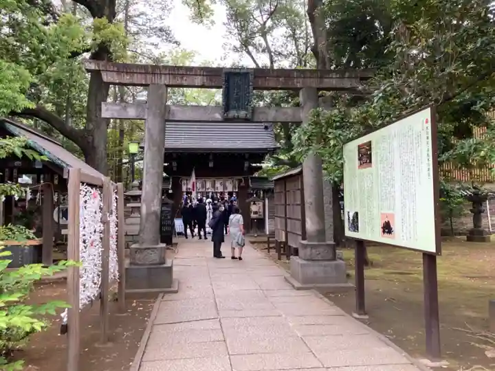 赤坂氷川神社の鳥居