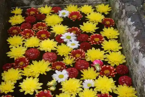 八幡神社の手水舎