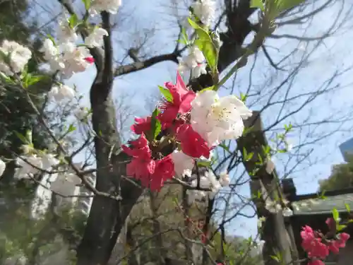 素盞雄神社(東京都)