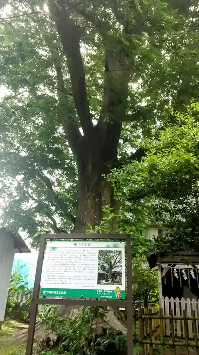 龍ケ崎八坂神社(茨城県)