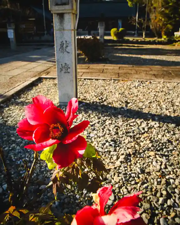 滋賀県護国神社(滋賀県)