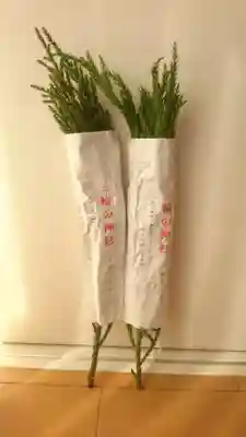 三輪成願稲荷神社(大神神社境外末社)(奈良県)