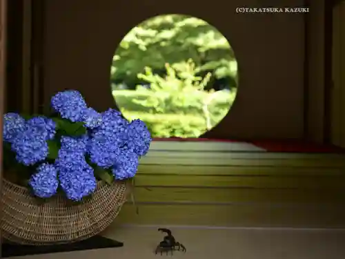 明月院(神奈川県)