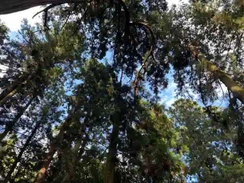 大宮温泉神社(栃木県)
