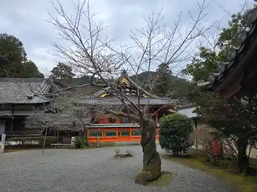 毘沙門堂門跡(京都府)