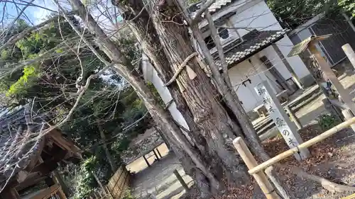 梨木神社(京都府)