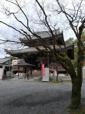 今熊野観音寺の本殿・本堂