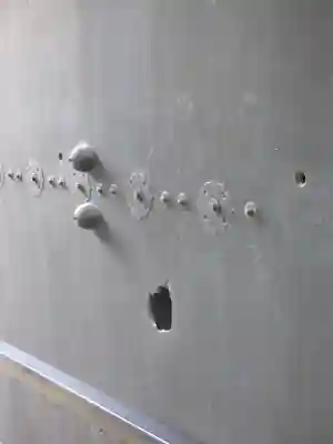 輪王寺両大師堂(寛永寺輪王殿)の歴史