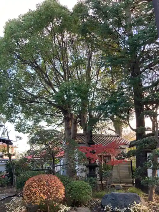海前寺(神奈川県)