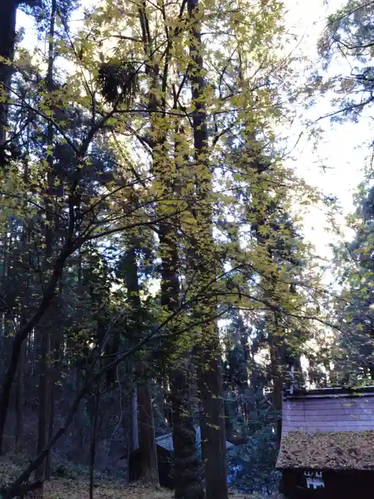 上色見熊野座神社(熊本県)