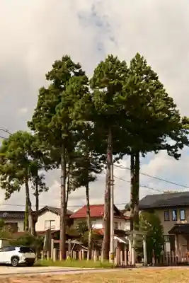 斐伊神社(島根県)