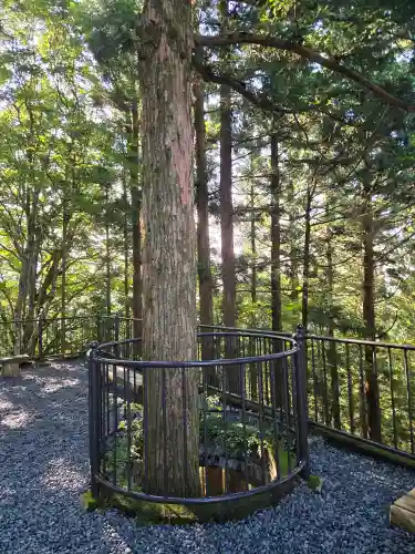 立里荒神社(奈良県)