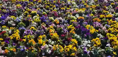 総寧寺(千葉県)