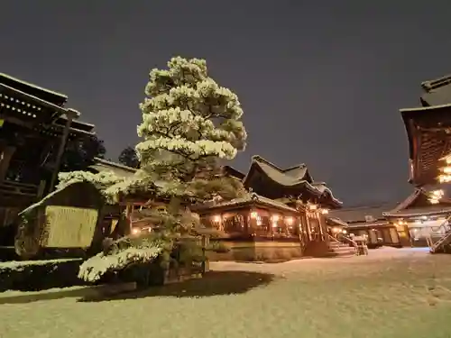 沙沙貴神社の建物その他