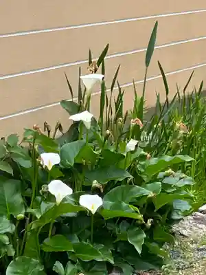 正傅寺(滋賀県)