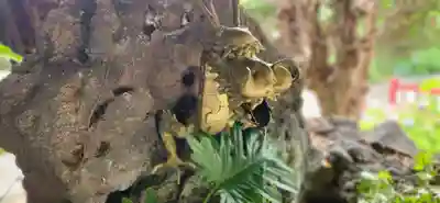 石母田　三吉神社(福島県)