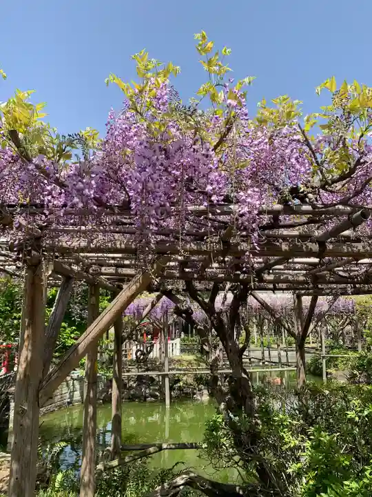 亀戸天神社(東京都)