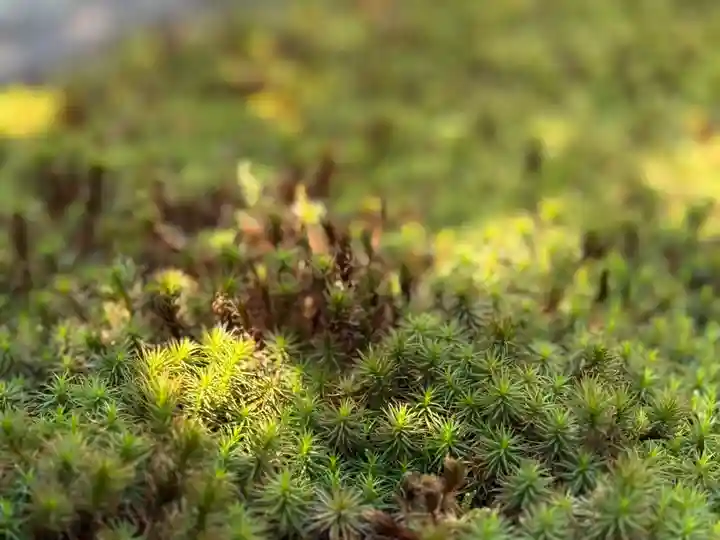 西方山極楽寺(岐阜県)
