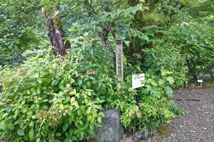三光寺(岐阜県)