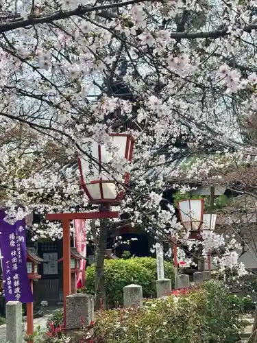 長建寺の{uncategorized: "未分類", other: "その他", undefined: "問題あり", building: "その他建物", grave: "お墓", sacred_gate: "鳥居", guardian: "狛犬", statue: "像", buddha: "仏像", history: "歴史", nature: "自然", garden: "庭園", animal: "動物", pagoda: "塔", temizu: "手水舎", mountain_gate: "山門・神門", sanctuary: "本殿・本堂", subordinate: "末社・摂社", art: "芸術", scenery: "景色", jizo: "地蔵", ema: "絵馬", goshuin: "御朱印", omikuji: "おみくじ", items: "授与品その他", amulet: "お守り", goshuincho: "御朱印帳", eats: "食事", festival: "お祭り", votive_dance: "神楽", shichigosan: "七五三参", wedding: "結婚式", experience: "体験その他", initially: "初詣", around: "周辺", anti_infection: "感染症対策"}