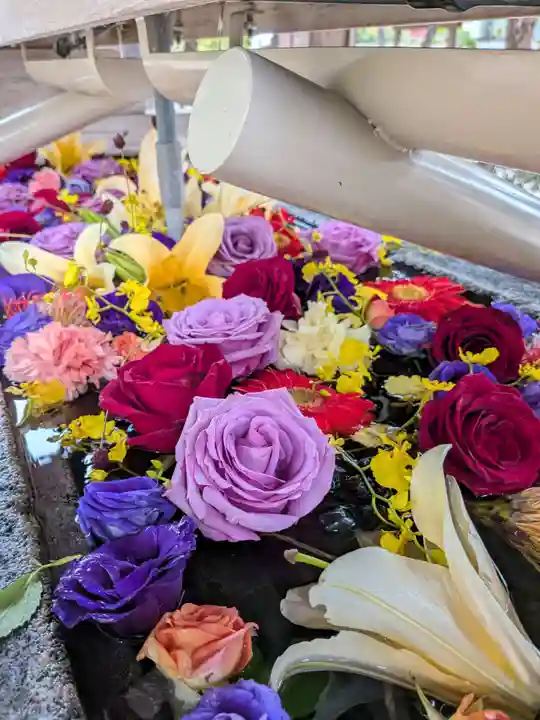 鳩森八幡神社(東京都)
