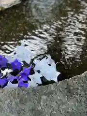 鹿島大神宮の御朱印