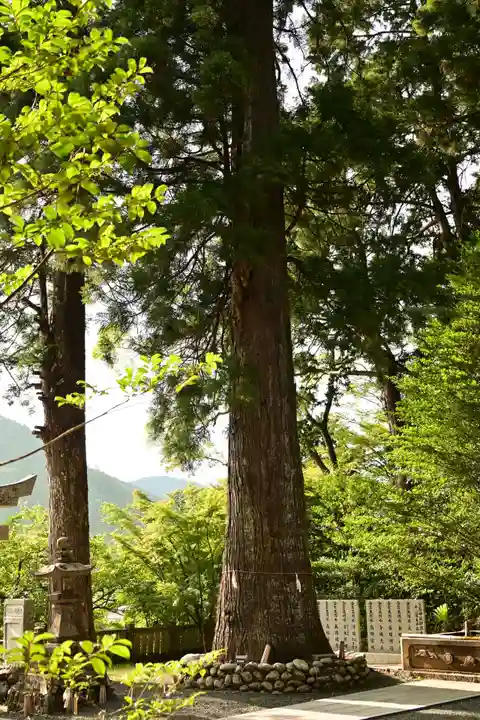 久万山総鎮守 三島神社(愛媛県)