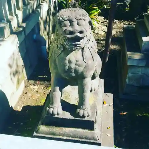 富岡八幡宮の狛犬