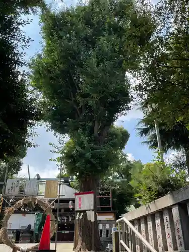 幡ケ谷氷川神社(東京都)