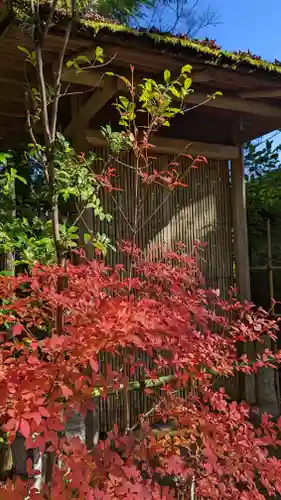 光悦寺(京都府)