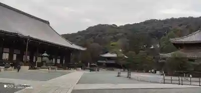 知恩院の本殿・本堂