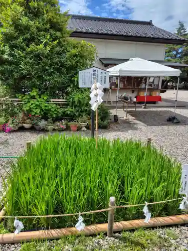 倉賀野神社(群馬県)