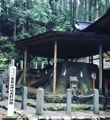 賀蘇山神社のその他建物