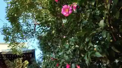 溝旗神社（肇國神社）のその他建物