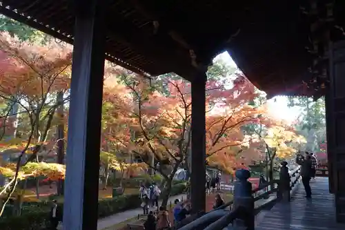 真正極楽寺（真如堂）(京都府)