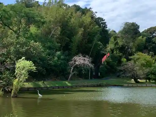 牟禮山観音禅寺の庭園