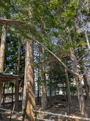 豊受稲荷神社（湯倉神社）の{uncategorized: "未分類", other: "その他", undefined: "問題あり", building: "その他建物", grave: "お墓", sacred_gate: "鳥居", guardian: "狛犬", statue: "像", buddha: "仏像", history: "歴史", nature: "自然", garden: "庭園", animal: "動物", pagoda: "塔", temizu: "手水舎", mountain_gate: "山門・神門", sanctuary: "本殿・本堂", subordinate: "末社・摂社", art: "芸術", scenery: "景色", jizo: "地蔵", ema: "絵馬", goshuin: "御朱印", omikuji: "おみくじ", items: "授与品その他", amulet: "お守り", goshuincho: "御朱印帳", eats: "食事", festival: "お祭り", votive_dance: "神楽", shichigosan: "七五三参", wedding: "結婚式", experience: "体験その他", initially: "初詣", around: "周辺", anti_infection: "感染症対策"}