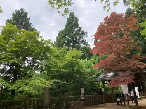 大山阿夫利神社の景色