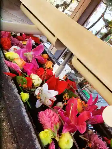 鳩森八幡神社の手水舎