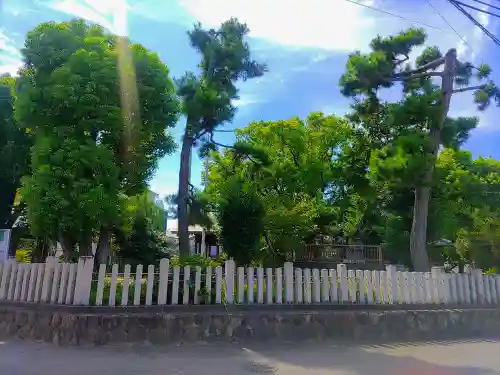 神明社（五之割神明社）の自然