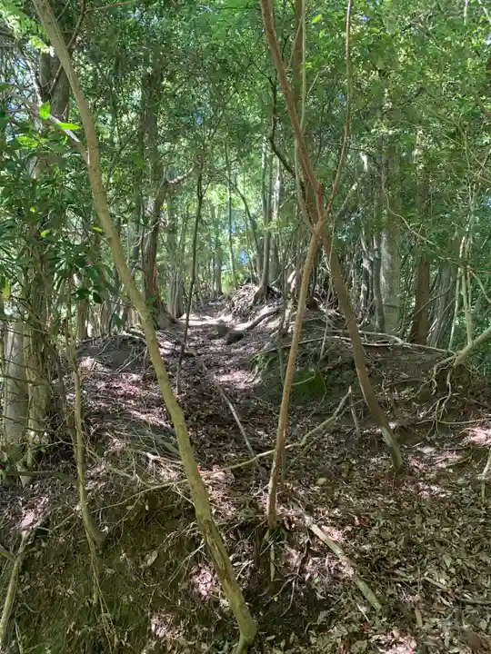 大代神社(千葉県)