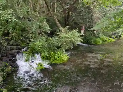 富士山本宮浅間大社(静岡県)
